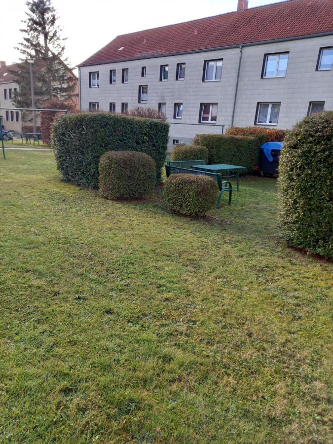 Pine Crest Ferienwohnung Harzgerode Esterno foto